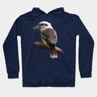 Kookaburra Hoodie